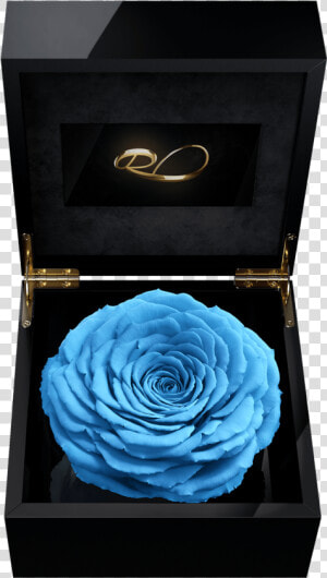 Luxury Video Flower Box Magna With A Xl Preserved Blue  HD Png Download