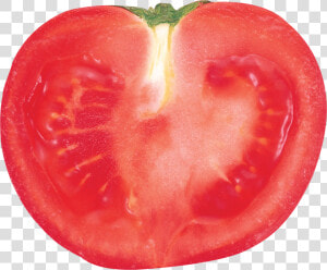 Transparent Free Tomato Clipart   Tomato Slice Transparent Background  HD Png Download