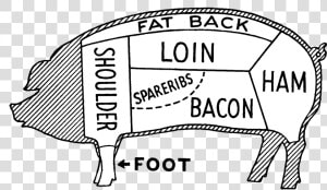 Pig Butcher Diagram   Illustration  HD Png Download