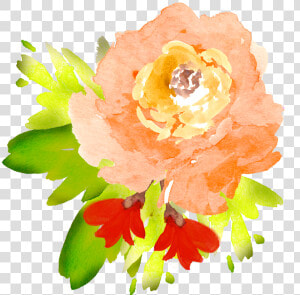 Floral Clipart Watercolor   Transparent Flower Clipart Png Watercolor  Png Download