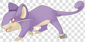 Rattata   Transparent Rattata  HD Png Download