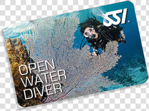 Open Water Diver  HD Png Download