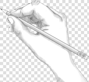 Transparent Hand Holding Pencil Png   Main Qui Dessine Png  Png Download