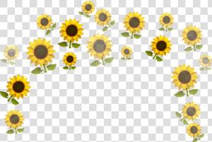 Sunflower 🌻🌻🌻   Vector Tumblr Sunflower Png  Transparent Png