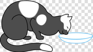 Cat Eating   Cat Humor   Cat Drinking Milk Clipart  HD Png Download