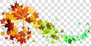  leaves  colorgradient  fall  autumn  swirl  wind  pretty   Fall Leaves Transparent Background  HD Png Download