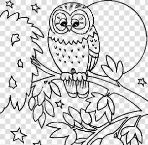 Cute Owl Coloring Pages Printable   Fall Animal Coloring Pages  HD Png Download