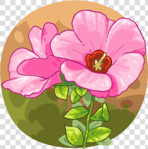 Sturt S Desert Rose   Sturt  39 s Desert Rose  HD Png Download