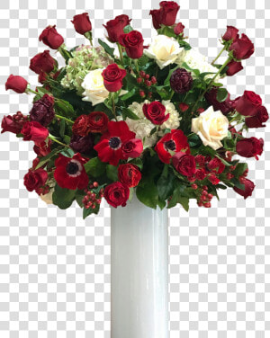 My Big Love Class Lazyload Lazyload Fade In Style   Garden Roses  HD Png Download