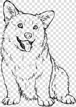 Transparent Corgi Clipart   Corgi Puppy Coloring Page  HD Png Download