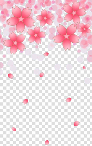 Cherry Blossom Petals Falling Png   Png Download   Cherry Blossom Gif Petals Falling  Transparent Png