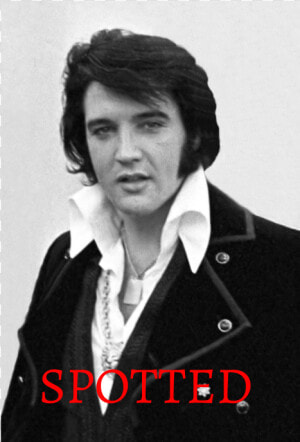 Elvis Presley  HD Png Download