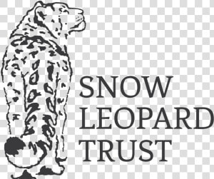 Slt Logo 2016 300ppi Transparent Blacktext 01   Snow Leopard Trust Logo  HD Png Download