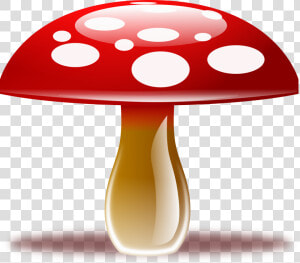 Mushroom   Cartoon Mushroom Png  Transparent Png