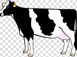 Transparent Cows Clipart   Dairy Cow Silhouette Showing  HD Png Download