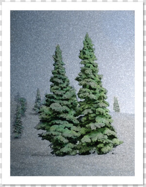 Snowy Trees Holiday Greeting Card data caption   Christmas Tree  HD Png Download