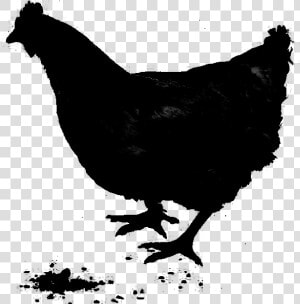 Rooster Chicken As Food Fauna Silhouette   Chicken  HD Png Download