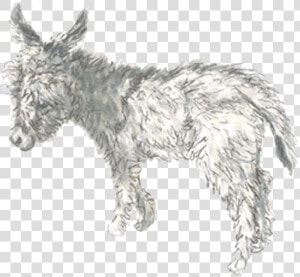 Drawn Donkey Burro   Burro  HD Png Download