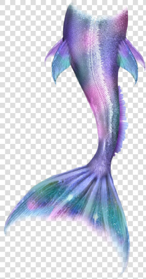 Mermaid Mermaidlife Mermaidtail Mermaids Merman Tail  HD Png Download