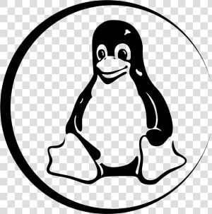 Linux Tux Logo Png Transparent   Linux Vector  Png Download