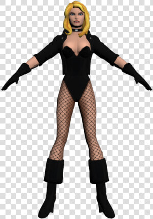 Download Zip Archive   Black Canary 3d Model  HD Png Download