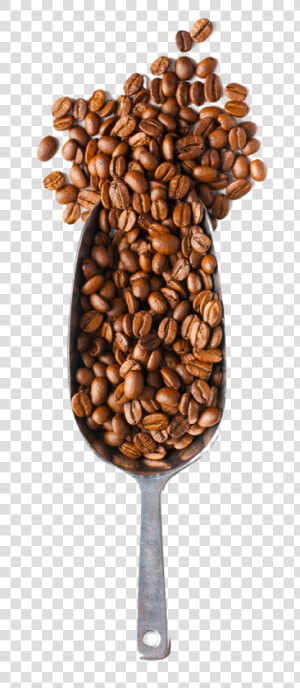 Coffee Beans And Spoon Png   Png Download   Coffee Beans Spoon Png  Transparent Png