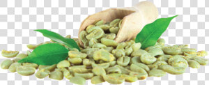 Green Coffee Grano Price In India  HD Png Download