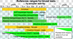 Reference Ranges For Blood Tests   Enzyme Blood Test  HD Png Download