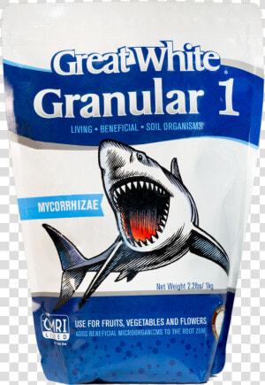 Great White Granular 1  HD Png Download