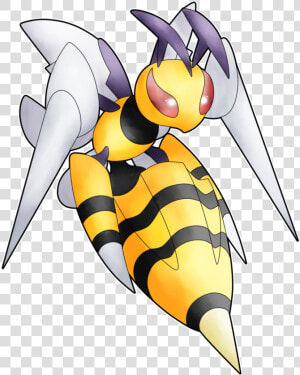 Anybody Know If I Can Use Mega Beedrill In Pokemon   Pokemon Mega Evolution Beedrill  HD Png Download