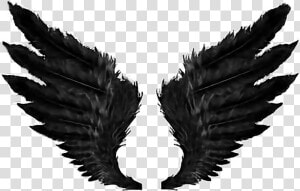 Transparent Demon Wings Png   Black Angel Wings Png  Png Download