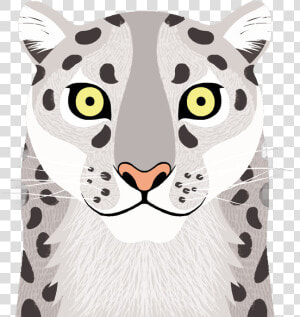 Transparent White Tiger Png   White Tiger  Png Download