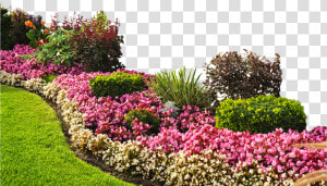 Landscape Png Image Background   Flower Bed Landscape  Transparent Png