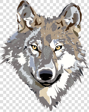 Wolf  Face  Head  Gray  Brown  Animal  Wild  Predator   Wolf Clipart Png  Transparent Png