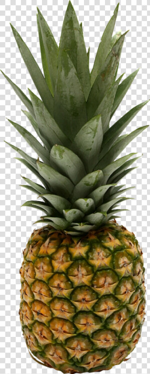 Small Pics Of Pineapples   Philippines Pineapple  HD Png Download