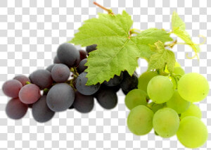 Transparent Clipart Image Grapes Png Black And Green   Grapes Bunch Transparent  Png Download