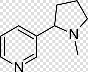 3 Hydroxy 6 Methylpyridine  HD Png Download