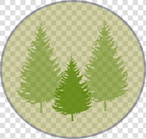 Fir Tree Clipart Three Pine   Pine Tree Silhouette Png  Transparent Png