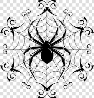 Cartoon Halloween Pictures To   Drawings Of Spiders In Webs  HD Png Download