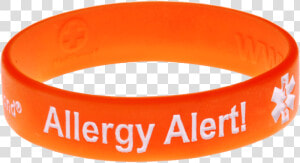 Rsd Crps Bracelet  HD Png Download