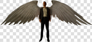 Lucifer Morning Star With Wings Png Image  Transparent Png