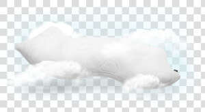 Cuddle A Cloud Src   cdn   Bearded Seal  HD Png Download