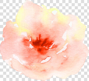 Flower Watercolor Watercolour Peach Aesthetic Pretty   Peach Aesthetic Orange Png  Transparent Png