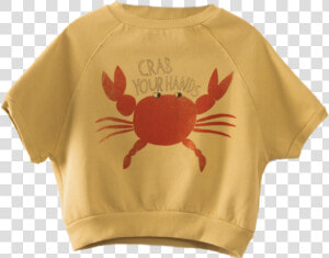 Christmas Island Red Crab  HD Png Download