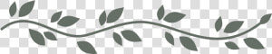 Leaf Divider Png   Leaves Divider Png Transparent  Png Download