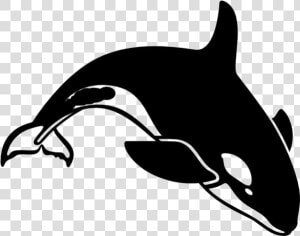 Killer Whale Png Transparent Images   Orca Clipart  Png Download