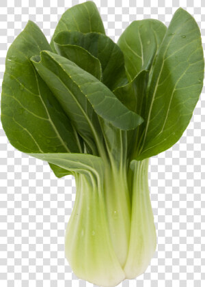 Baby Bok Choy Chinese Vegetable   Chou De Chine  HD Png Download