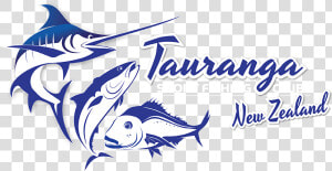 Tauranga Sport Fishing Club   Atlantic Blue Marlin  HD Png Download