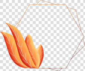 Hand Painted Border Plants Leaves Coral Orange Png   Portable Network Graphics  Transparent Png