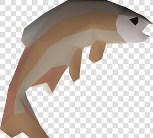 Fish   Osrs Tench  HD Png Download